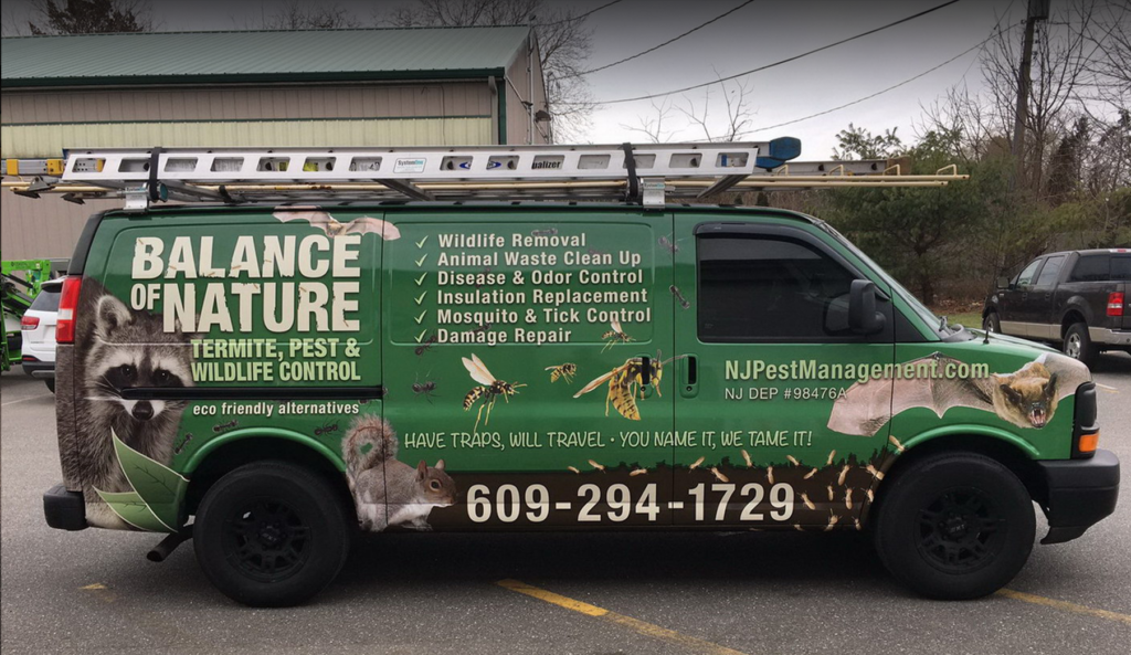 Jack's Nuisance Wildlife Removal Services - Animal Prevention,Trapping  Animals & Damage Repairs